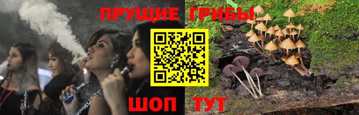 Галлюциногенные грибы Psilocybe Десногорск